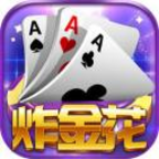金花手游单机版最新版本